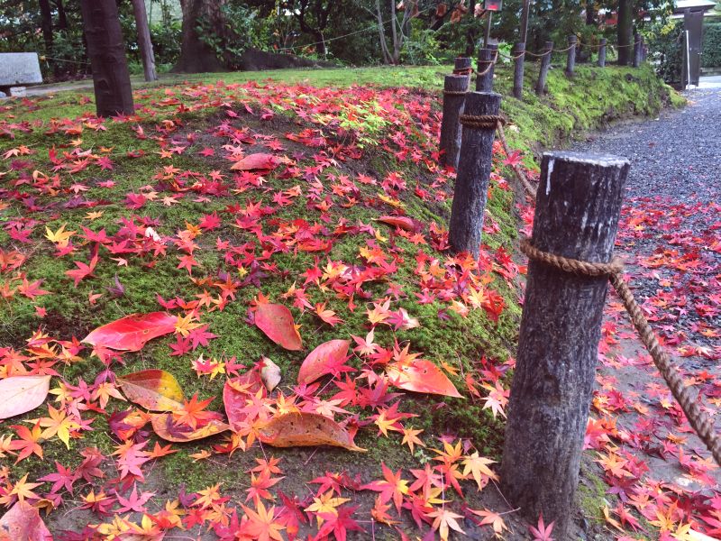 城南宮の紅葉その３