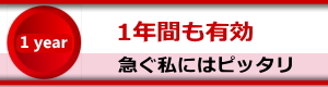 1年間も有効