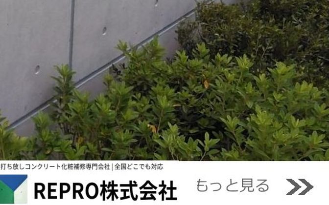 REPRO株式会社