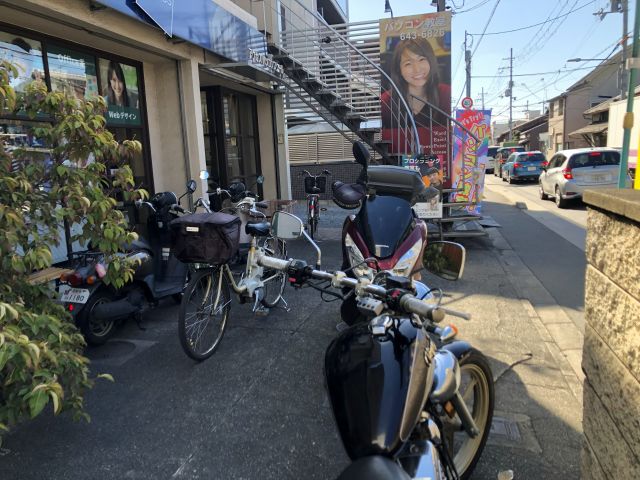 春がやって来た