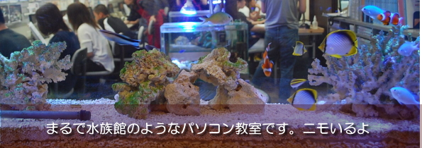 まるで水族館のようなパソコン教室