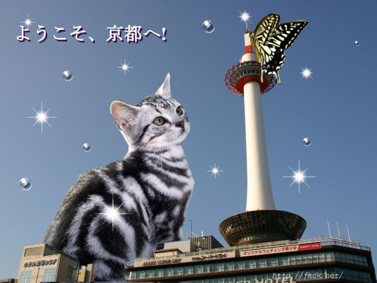 真紀子さんの作品