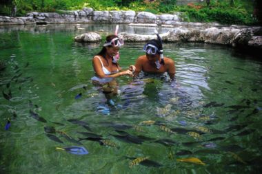 わ、スクールで飼っている海水魚がいっぱい