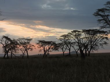 ケニアの夕暮れ