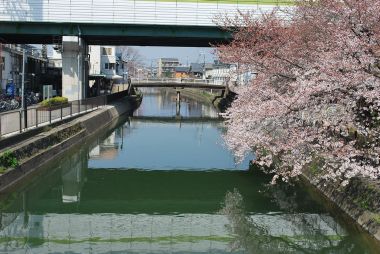 疎水の橋からみた風景