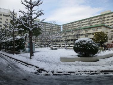 藤森駅の近くの公園